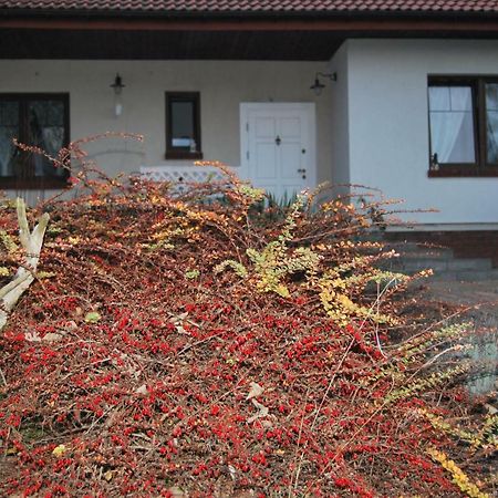 Pokoje Nad Mlynem Stryków Kültér fotó