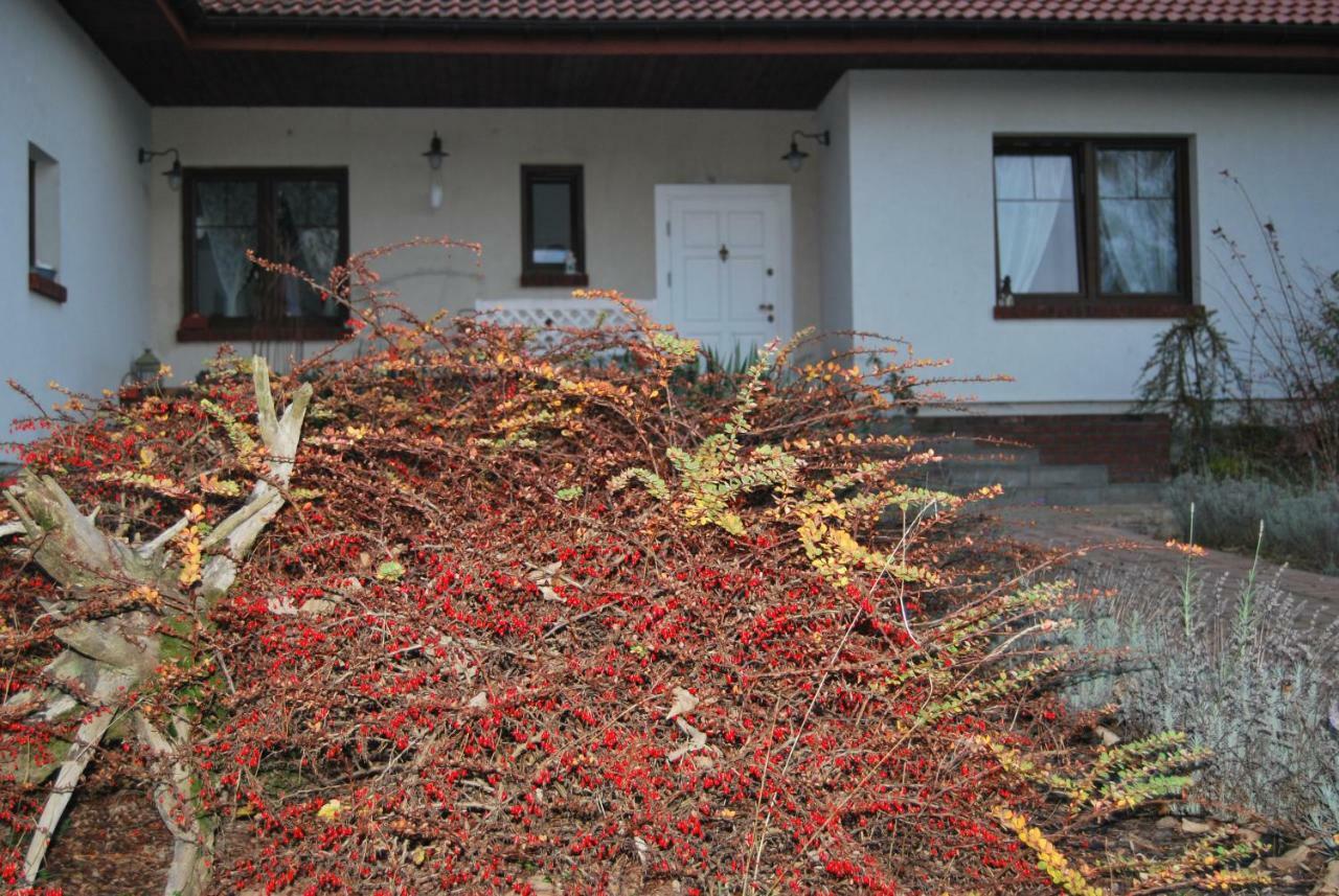 Pokoje Nad Mlynem Stryków Kültér fotó